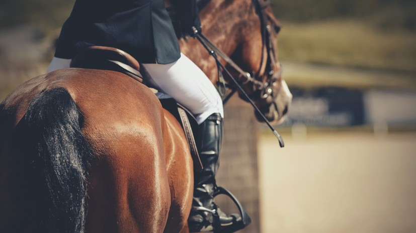 Международная федерация конного спорта допустила россиян в нейтральном статусе