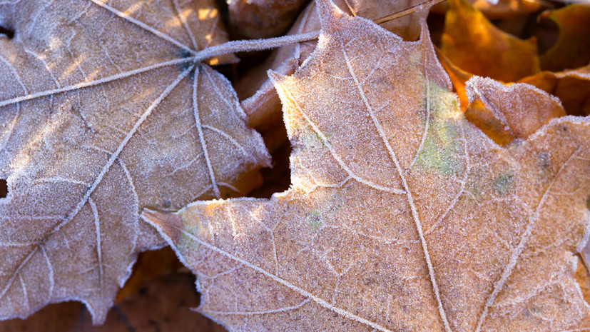 В Ростовской области ожидаются морозы до -10 °С с 21 ноября