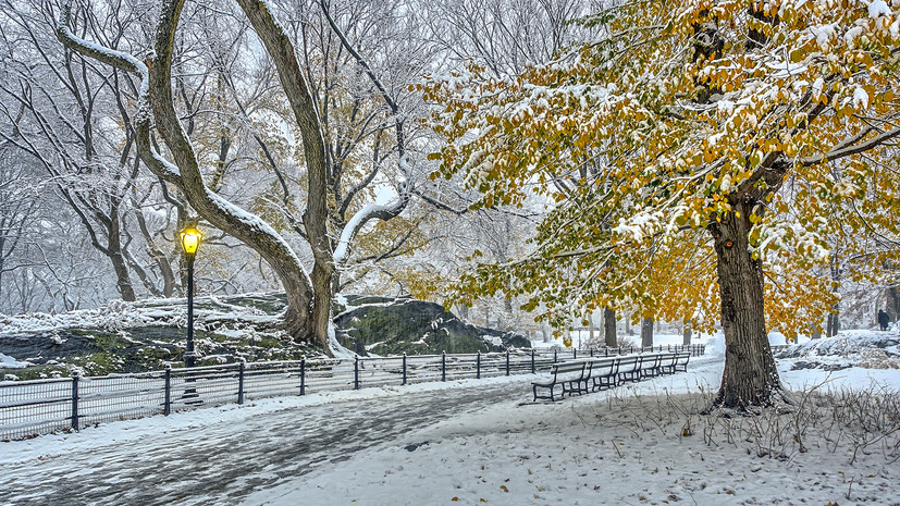 Парки Подмосковья подготовят к зиме