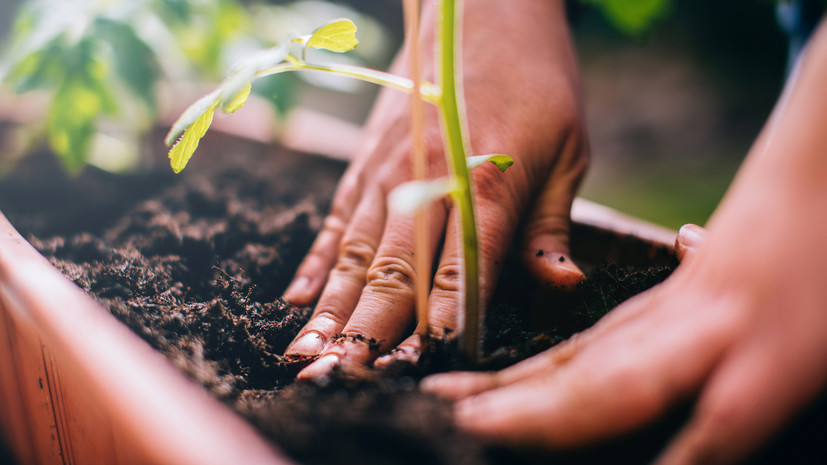 Мода и садоводство названы самыми популярными увлечениями россиян в 2023 году