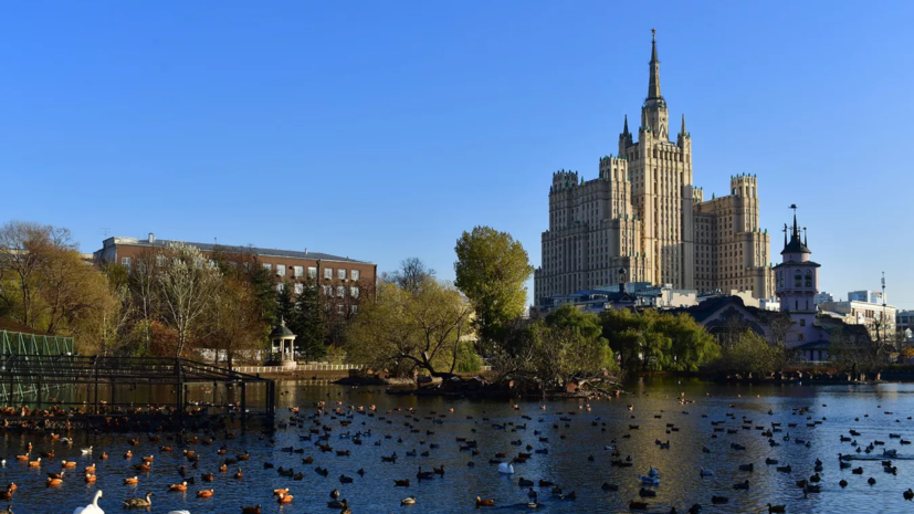 В Московском зоопарке панда Жуи прошёл обследование