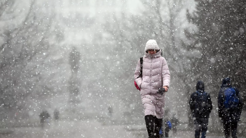 Синоптик Шепоренко ожидает окончания снегопадов в Свердловской области 24 ноября