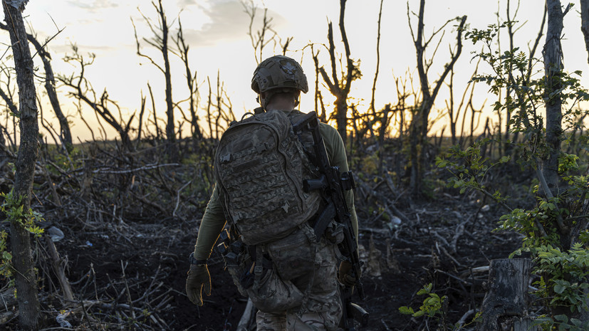 Минобороны: потери ВСУ на Донецком направлении составили до 290 военных