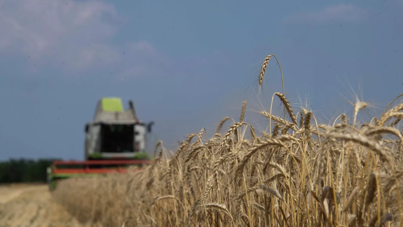 Власти Ульяновской области поздравили аграриев с профессиональным праздником