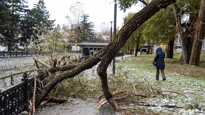 «Циклоны будут более разрушительными»: российский климатолог — о шторме на юге России