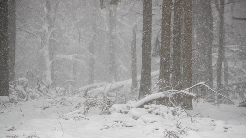 Снегопады продолжатся в Карелии 28—29 ноября