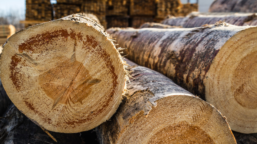 В Челябинской области пресекли незаконный вывоз лесоматериалов на 10 млн рублей