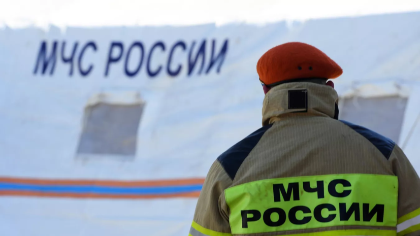 Сотрудники МЧС спасли провалившихся под лёд лошадей в Челябинской области