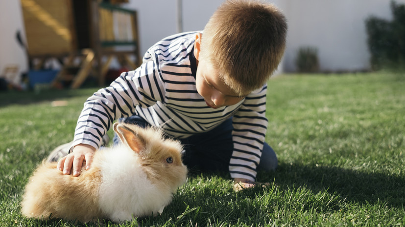 Ветеринар Кузина рассказала о необычных питомцах у москвичей