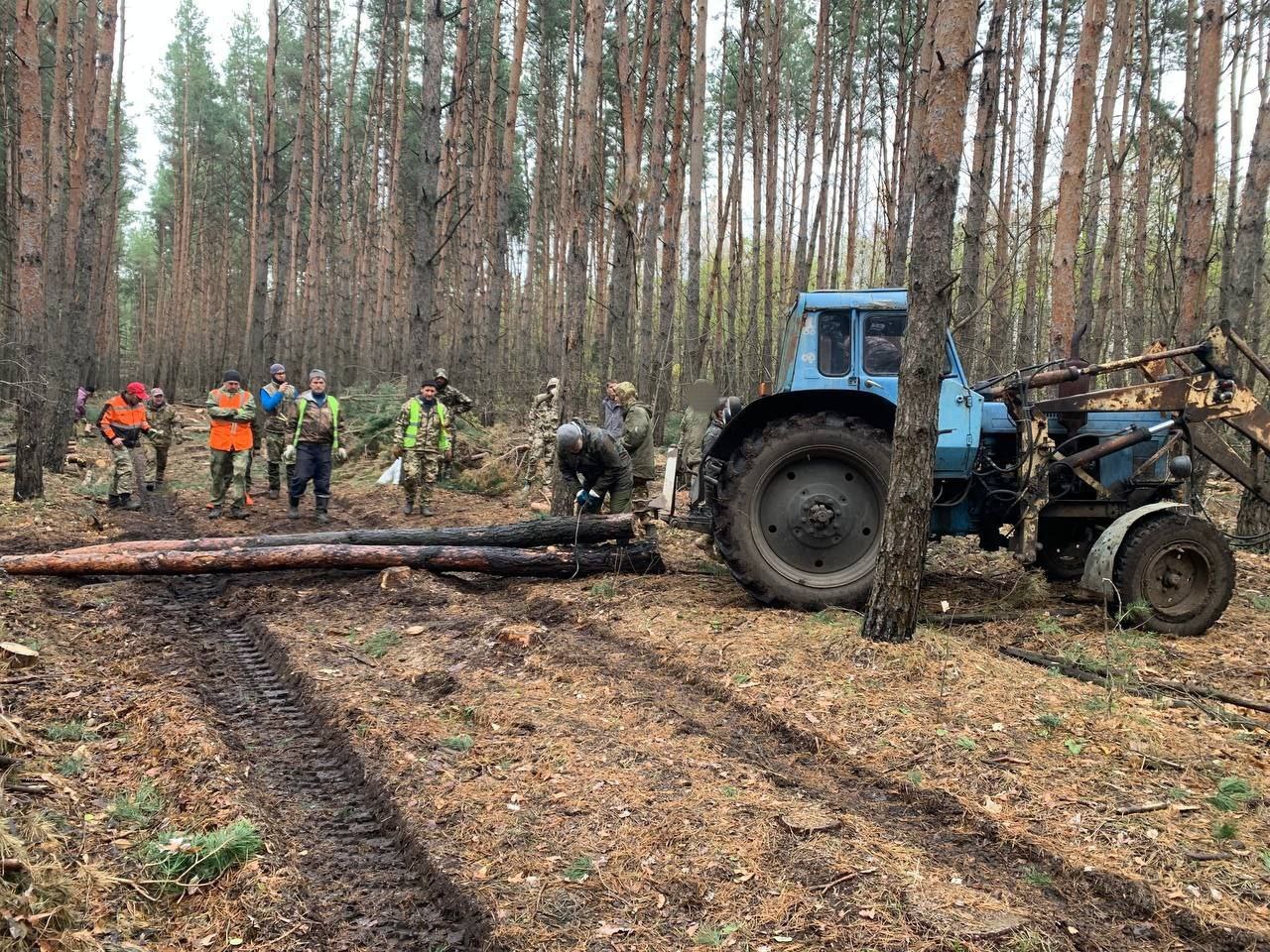 Бобры» спешат на помощь: в Белгородской области волонтёры помогают  заготавливать брёвна для российских военнослужащих — РТ на русском