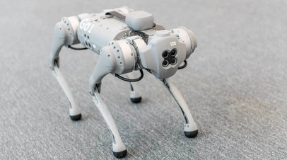 Робот-собака с искусственным интеллектом