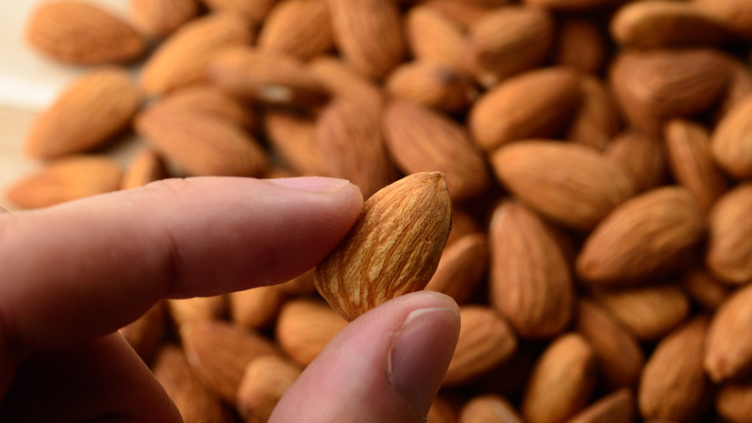 Биолог Созыкин посоветовал употреблять не более 10—16 миндальных орехов в день