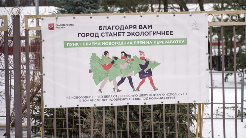Жители Москвы выберут места для пунктов приёма ёлок
