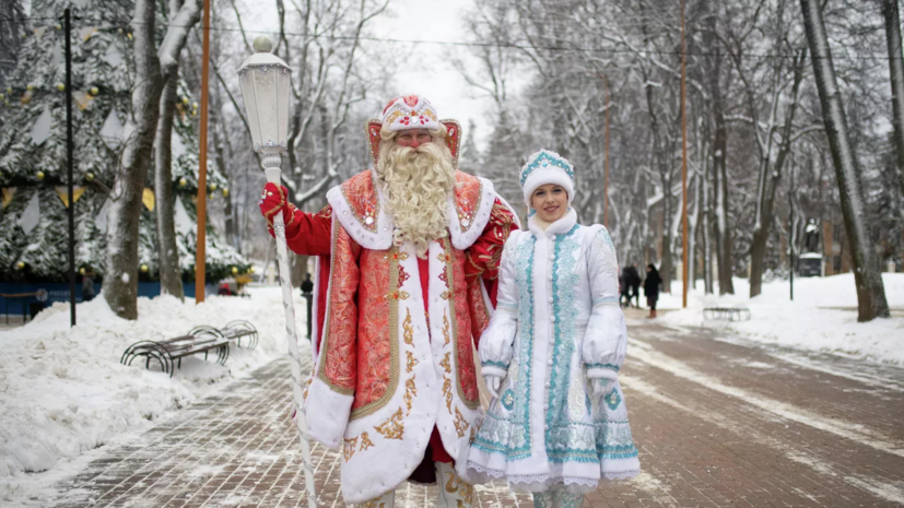 Россиянам дали советы, как выбрать Деда Мороза и Снегурочку к празднику