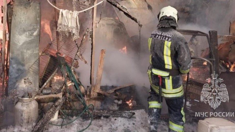 Под Екатеринбургом произошёл пожар в доме для передержки собак и кошек