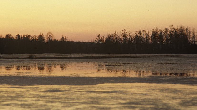 
                                РИА Новости
                            