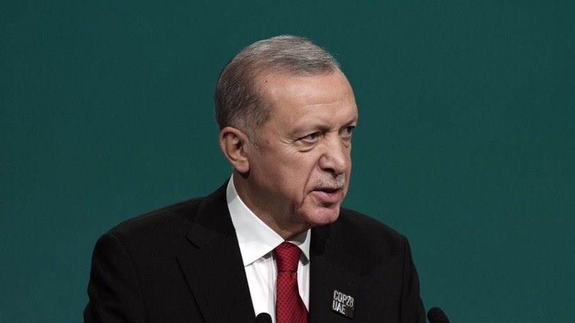 Эрдоган раскритиковал США за отказ принимать проект резолюции по Газе
