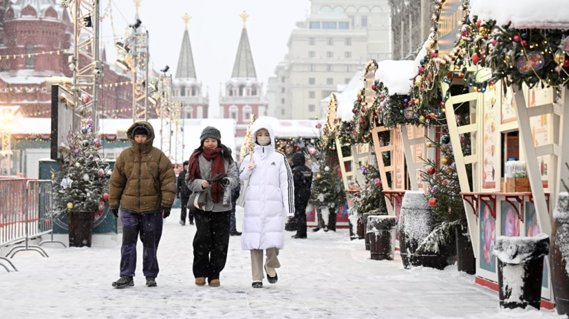 Синоптик спрогнозировал снег и метель в Москве 12 декабря