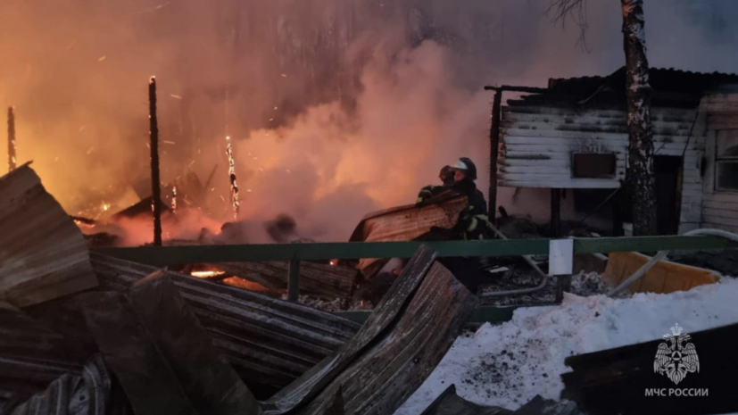 Сотрудники МЧС спасли пять лошадей на пожаре в конюшне в Москве