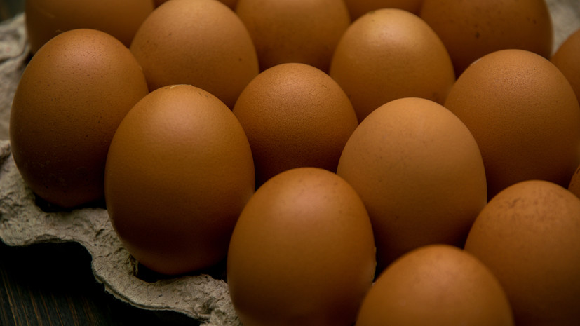 Правительственная подкомиссия поддержала тарифную льготу на ввоз яиц