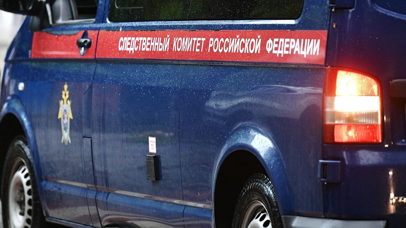 В ЯНАО завели дело по факту нападения собак на ребёнка