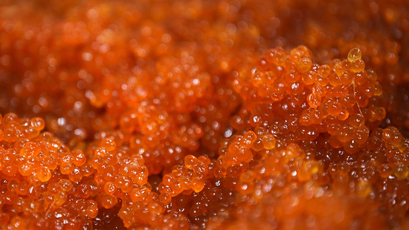 В России производство красной икры достигло максимума за 13 лет