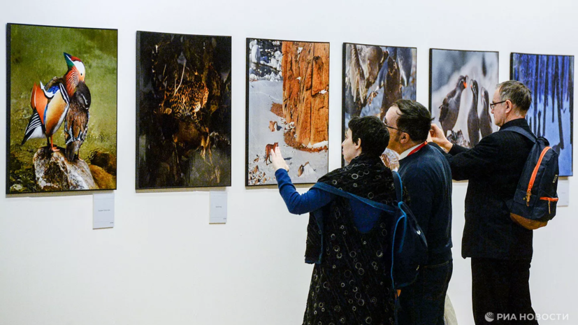 Фестиваль «Золотая черепаха» в Москве посетили более 60 тысяч гостей