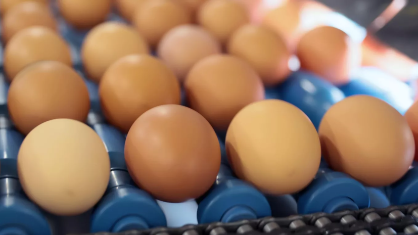 Патрушев: Минсельхоз работает над стабилизацией цен на куриное яйцо