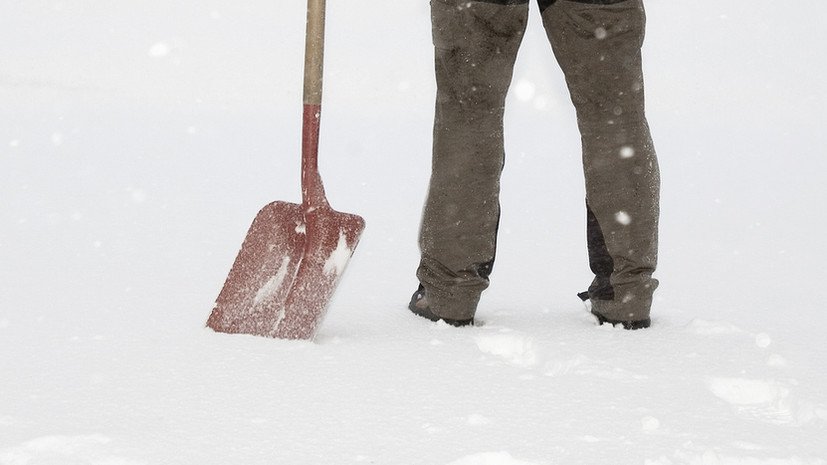 В Гатчине двое мужчин похитили и избили лопатой иностранца