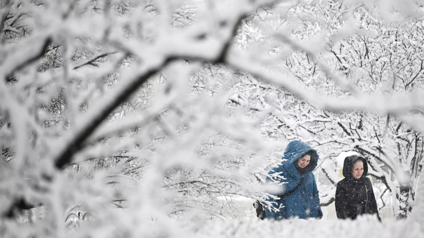 Метеоролог Старков: русская зима резко поменяла характер
