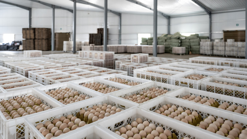 Совет ЕЭК предоставил России возможность обнулить пошлины на импорт яиц