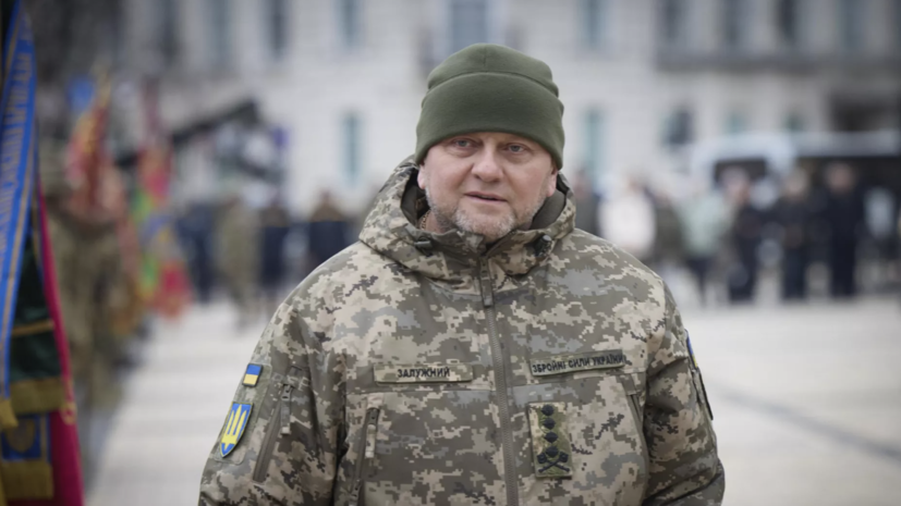Залужный поддержал законопроект о мобилизации на Украине