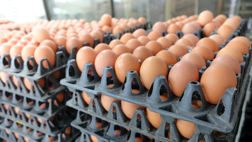Россия получила вторую партию яиц в количестве 306 тысяч штук из Азербайджана