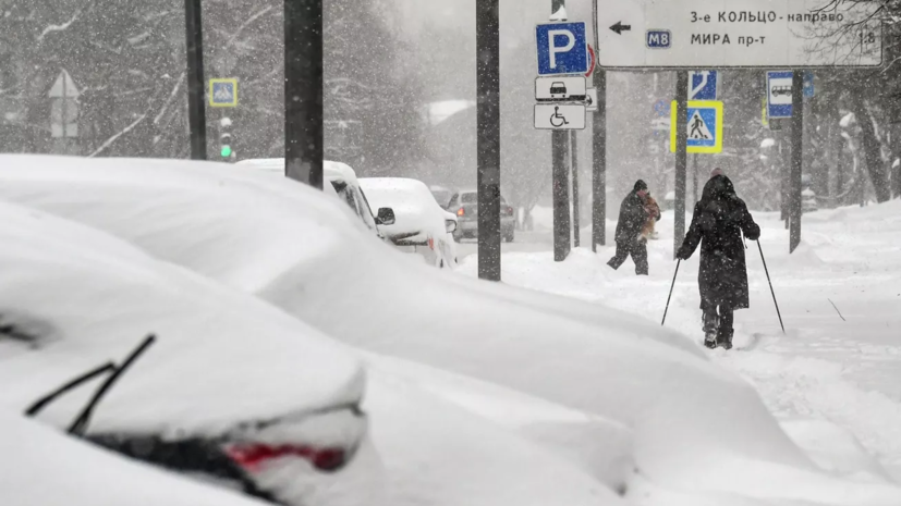 Синоптик Тишковец: в Москве 25 декабря ожидается снег и до 0 °С