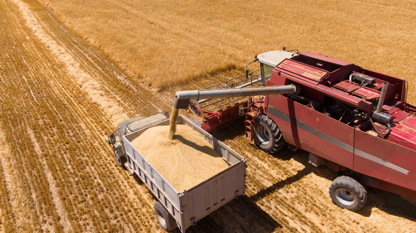 Сбор зерна в России в чистом весе в 2023 году составил 142,6 млн тонн