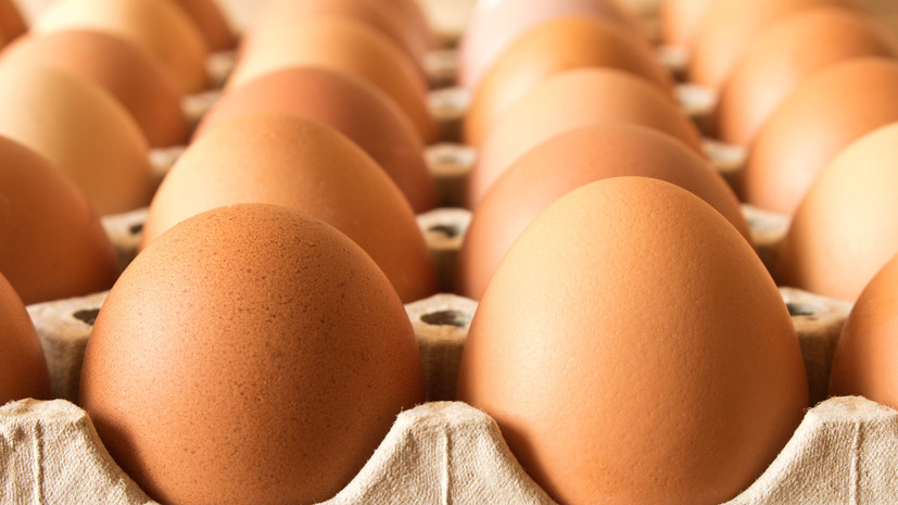 ФАС России возбудила четыре дела против производителей яиц из-за роста цен