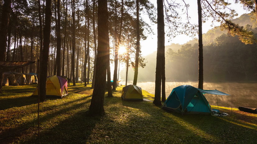 В Подмосковье направят федеральную субсидию на развитие туризма