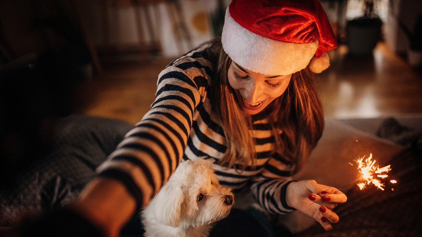 Кинолог Фёдорова посоветовала заранее приучать собак к салютам