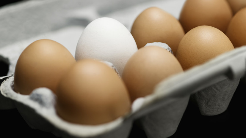 Кабмин утвердил беспошлинный импорт яиц до 30 июня