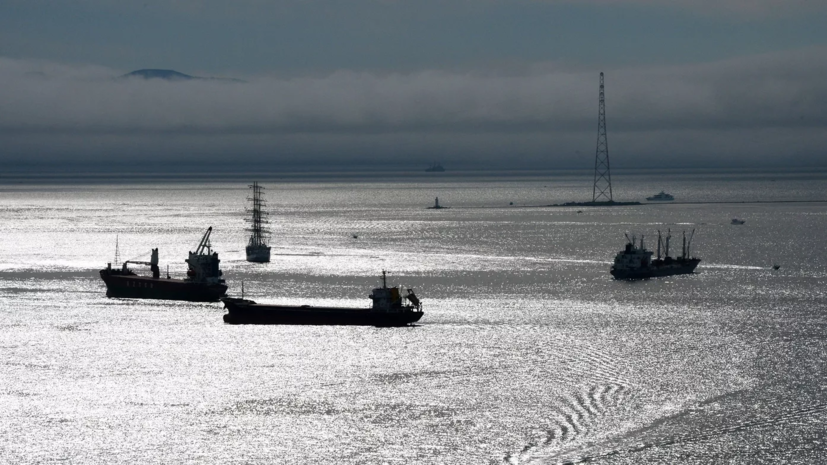 Администрация Эрдогана: минные тральщики Украины не допустят в проливы Турции