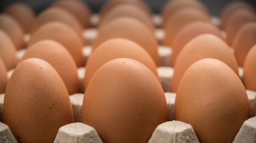 Россельхознадзор сообщил о поставке второй партии яиц из Турции в Россию