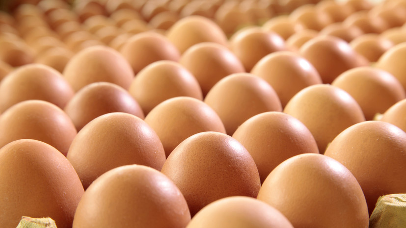 Поставки куриных яиц из Белоруссии в Россию выросли почти вдвое