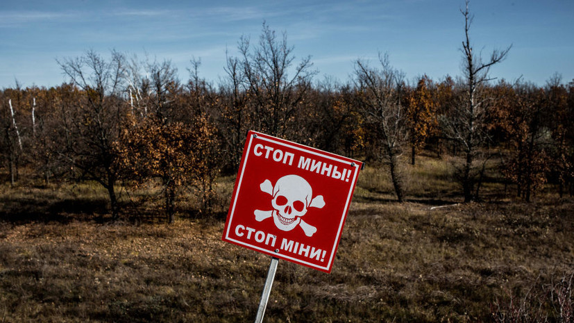 Вольфович: Украина установила более 500 тысяч мин на границе с Белоруссией