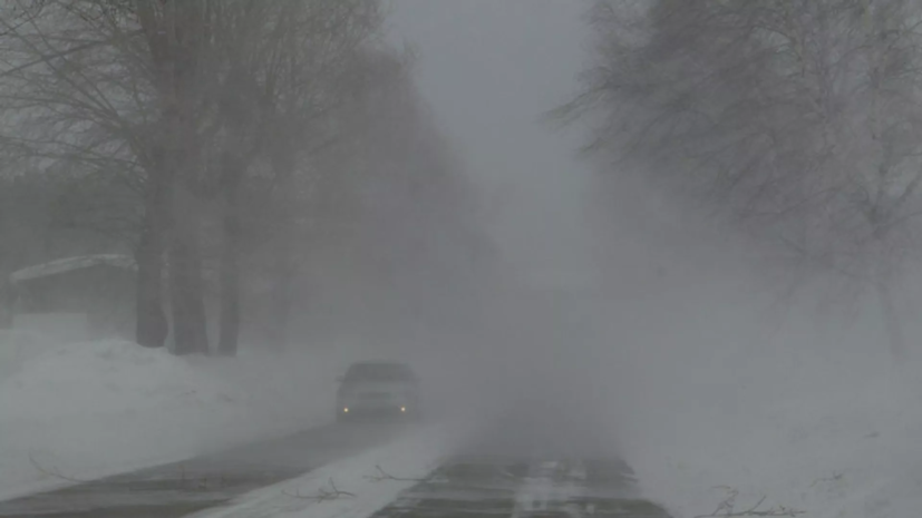 В Челябинской области предупредили о метелях и усилении ветра до 18 м/с