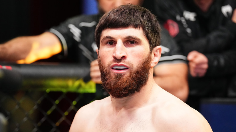Анкалаев заявил, что готов провести бой с Перейрой на UFC 300