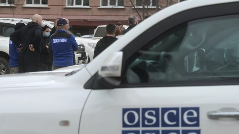 Постпредство России: представитель ОБСЕ по СМИ проигнорировала смерть Лиры