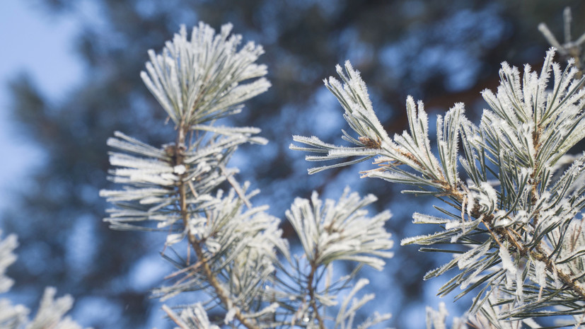 В ХМАО ожидается потепление до -10 °С на текущей неделе