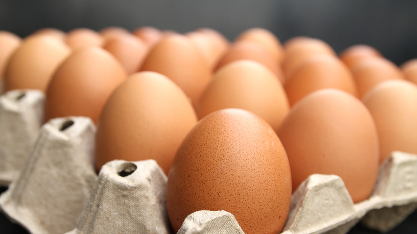 Цены на куриные яйца с 10 по 15 января снизились впервые за полгода