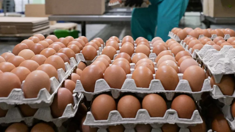 Россельхознадзор: в Россию из Азербайджана ввезено суммарно 3 млн куриных яиц