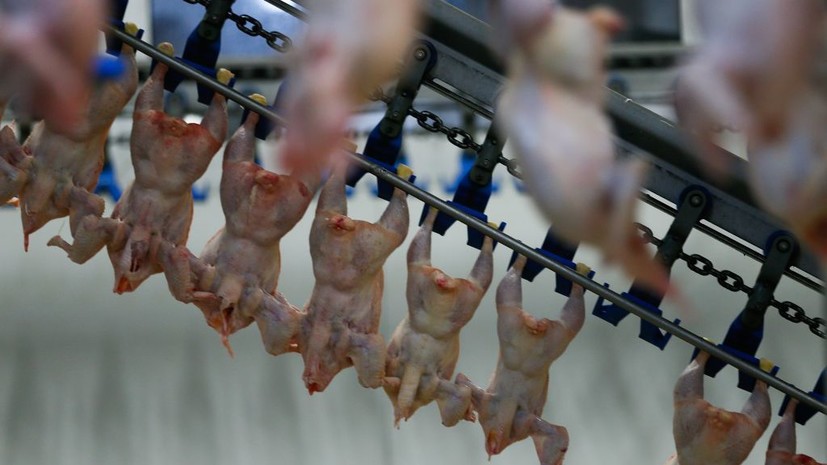 Во Франции заявили об угрозе для фермеров из-за импорта мяса птицы с Украины
